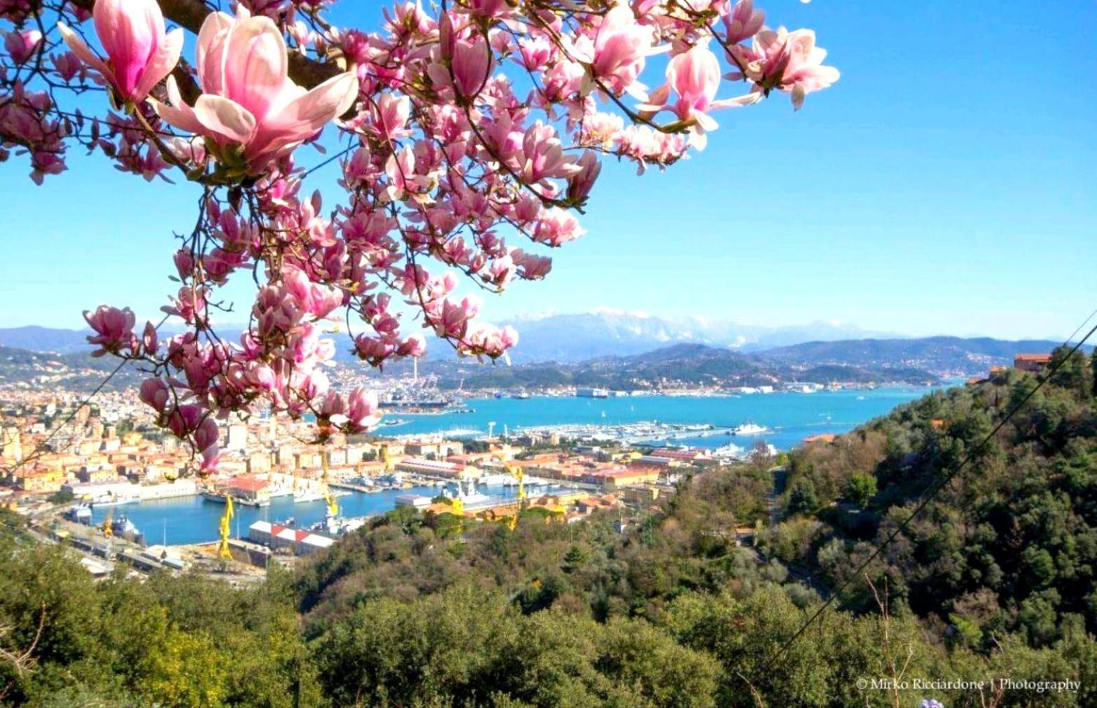 Villa Casa Tartaruga La Spezia Esterno foto